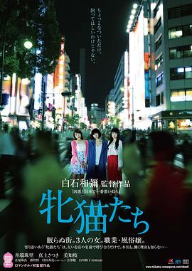 雌貓們【影視解說】