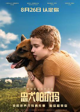 忠犬帕爾瑪【影視解說】