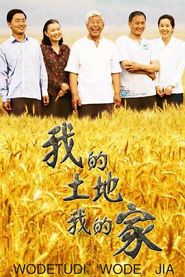 我的土耳其婚禮(原聲版)